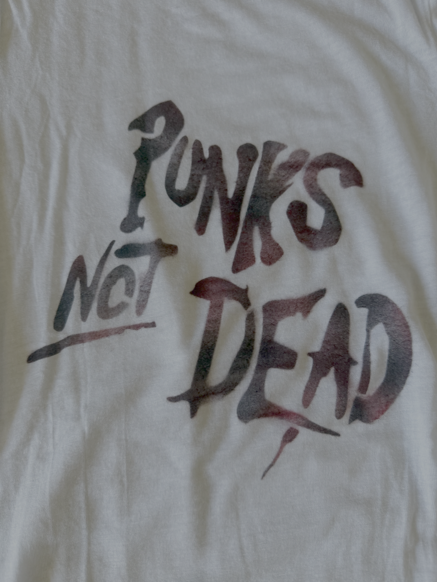 Punkbrush airbrush artwork by Silke May
